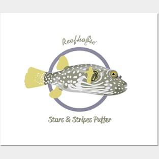 Stars and Stripes Puffer Posters and Art